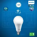 Philips AceBright LED Bulb 12W 6500K.webp