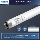 Philips Florescent Tube Light TL 54-765 Lifemax T8